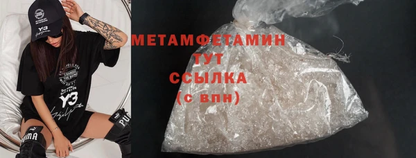 прущие грибы Михайловка
