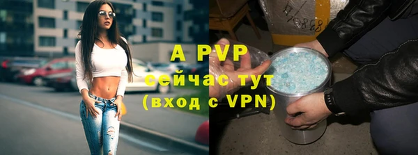 прущие грибы Михайловка