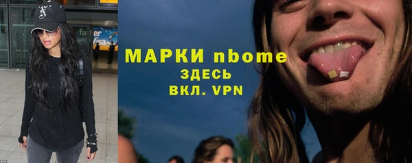 прущие грибы Михайловка