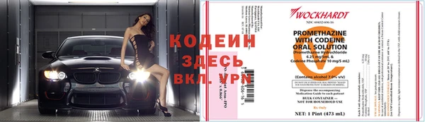 прущие грибы Михайловка