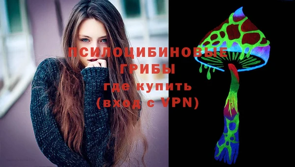 прущие грибы Михайловка