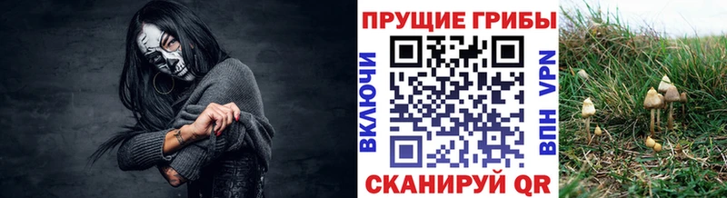 Купить закладки  Миллерово  Галлюциногенные грибы ЛСД 
